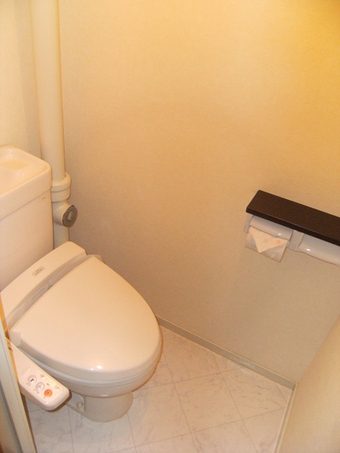 Toilet. Bidet was also installed. And double also paper holder