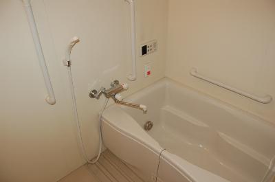 Bath. Bathroom (isomorphic photo)