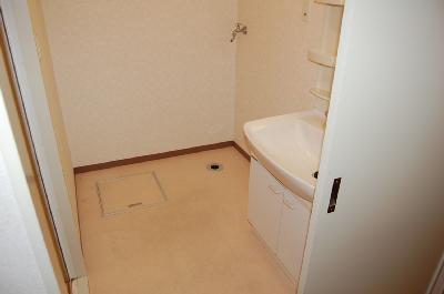 Other room space. Washroom (isomorphic photo)