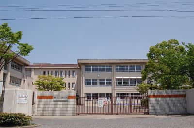 Primary school. Chihaya Nishi Elementary School until the (elementary school) 1300m