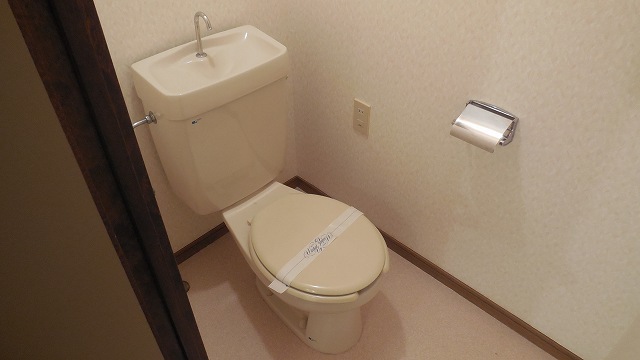 Other room space. Beautiful toilet