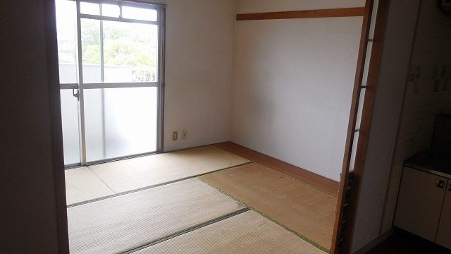Other room space. Bright Japanese-style room