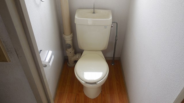 Toilet. Beautiful toilet
