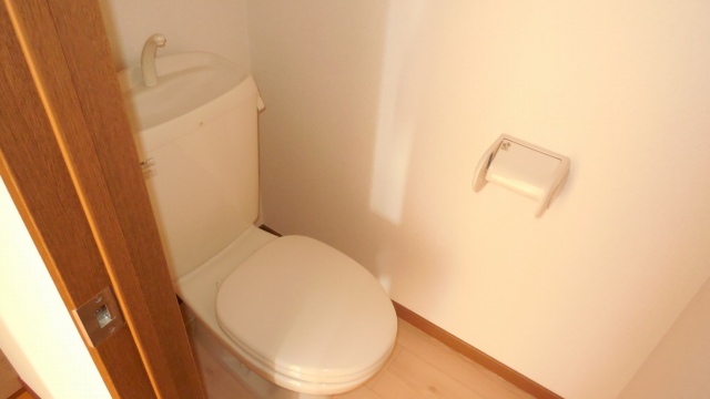 Other room space. Toilet felt the cleanliness