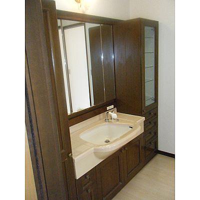 Wash basin, toilet. Vanity is there is a large shelf on both sides! 