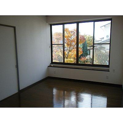 Non-living room. Each room flooring is shiny! 