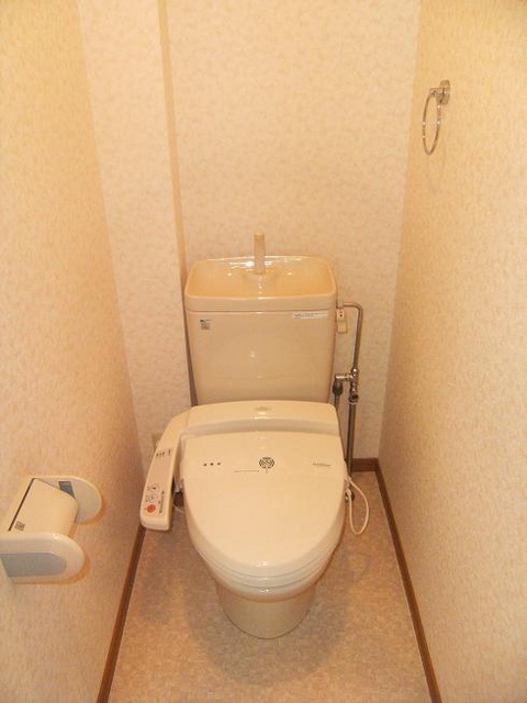 Other room space. Toilet