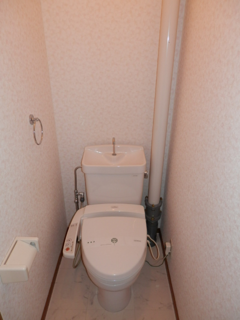 Toilet. The facility is equipped with but it is mandatory cleaning toilet seat recently