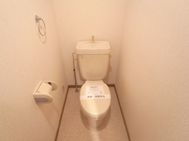 Toilet. Toilet (isomorphic another in Room photo)
