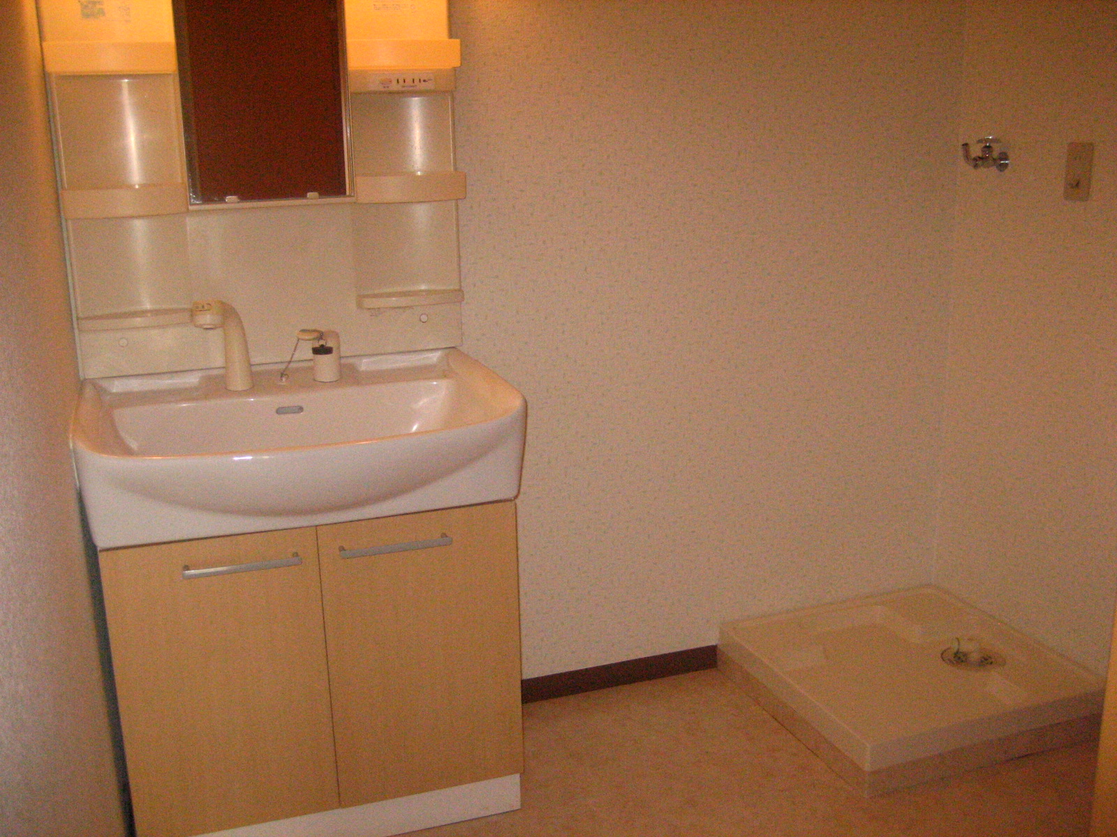 Washroom. Shampoo dresser, Washing machine in the room