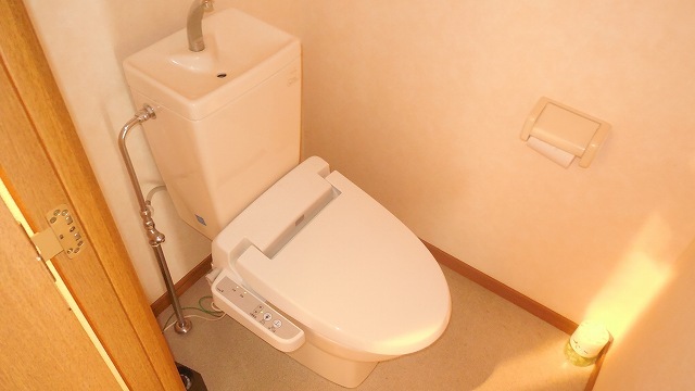 Other room space. Washlet toilet