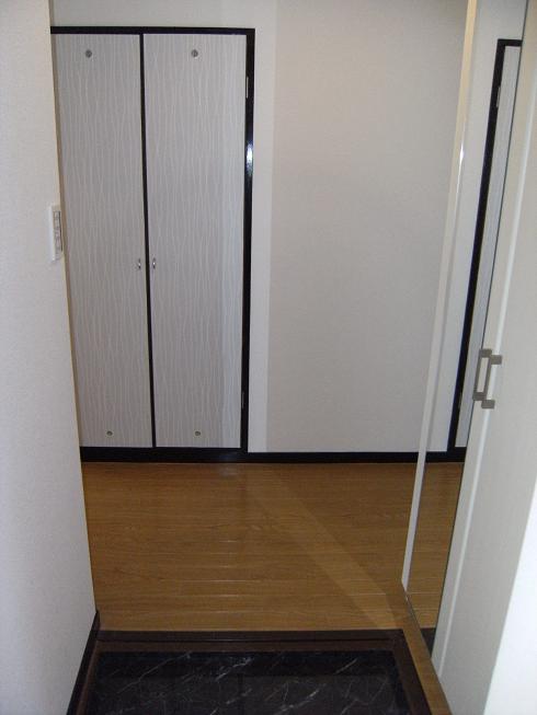 Entrance. Storage door of the corridor also became fashionable. Of course, functionality is also good, It was