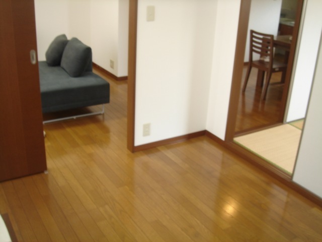 Living and room. Bright flooring