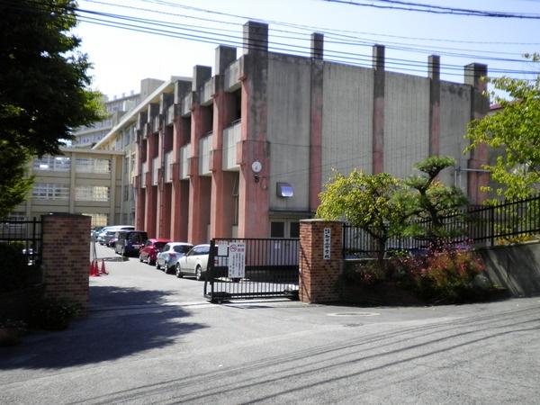 Junior high school. Municipal Wajirogaoka until junior high school 1942m
