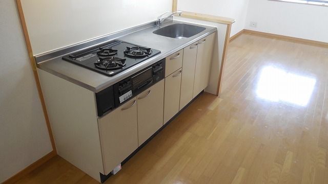 Kitchen. It is with a stove
