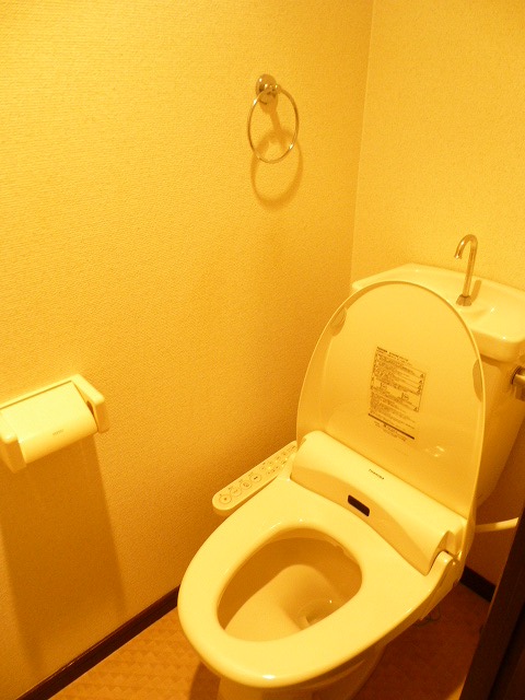 Toilet. It is with warm water washing toilet seat