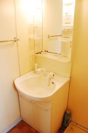 Washroom. Wash basin (isomorphic type)
