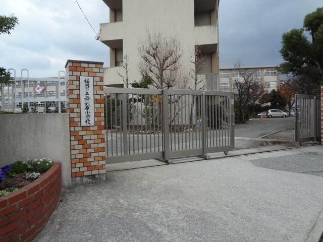 Primary school. Maimatsubara 1000m up to elementary school