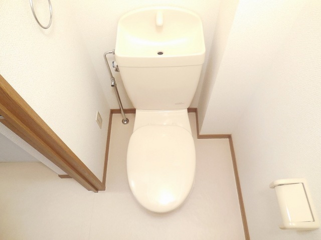 Other room space. Beautiful toilet