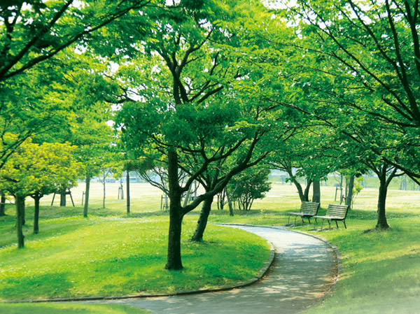 Surrounding environment. Hakozaki park (about 320m / 4-minute walk)