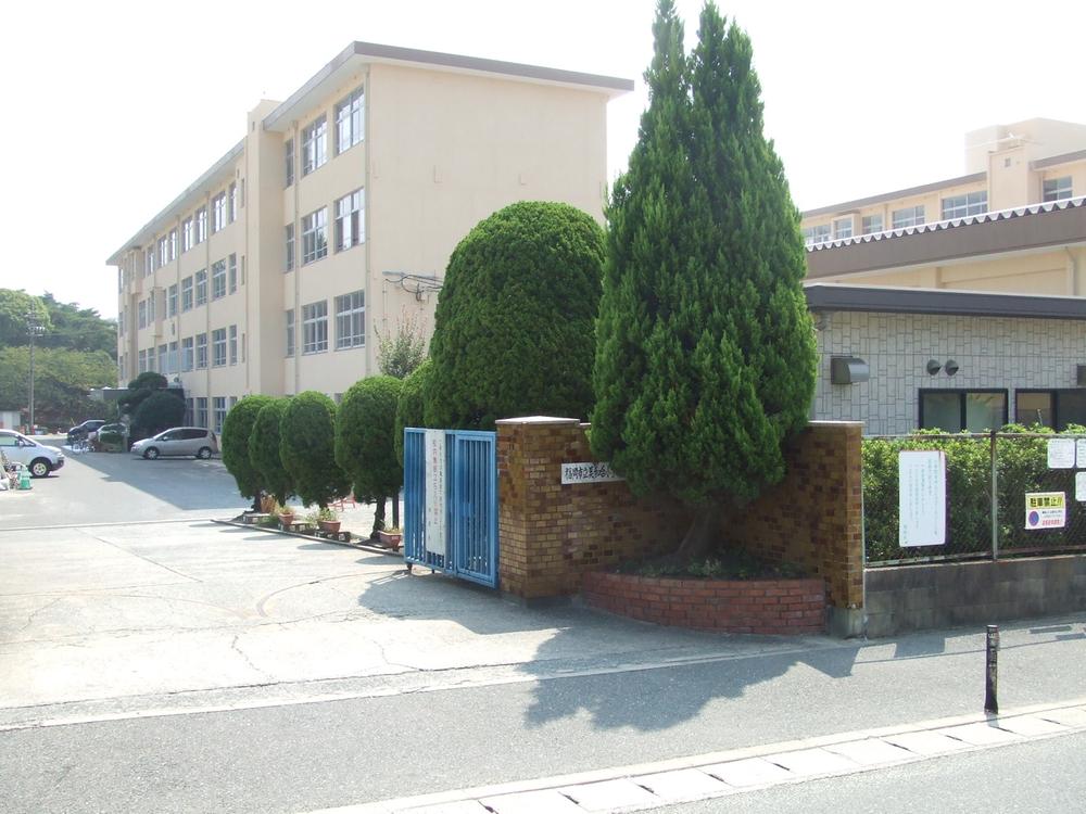 Other. Fukuoka Municipal Miwadai Elementary School