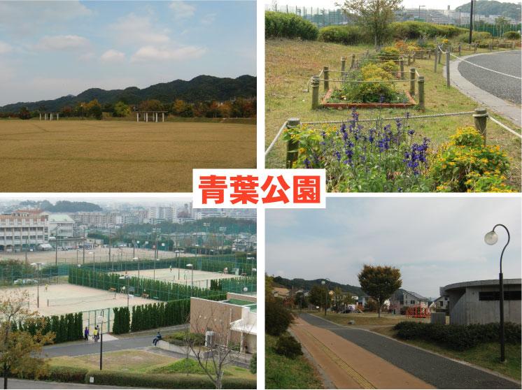 park. Blessed with green in the 913m Aoba park to Aoba Park, Season rich living environment is attractive. 