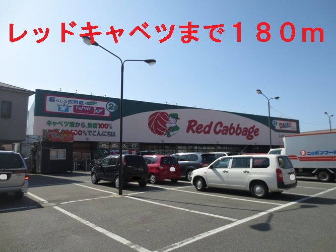 Supermarket. 180m until the red cabbage (super)