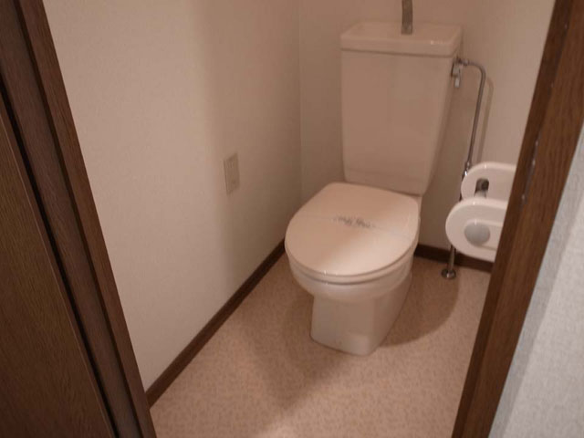 Toilet