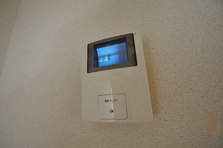 Security. Monitor with intercom