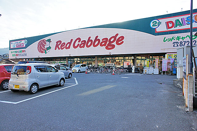Supermarket. 200m to Red cabbage (super)