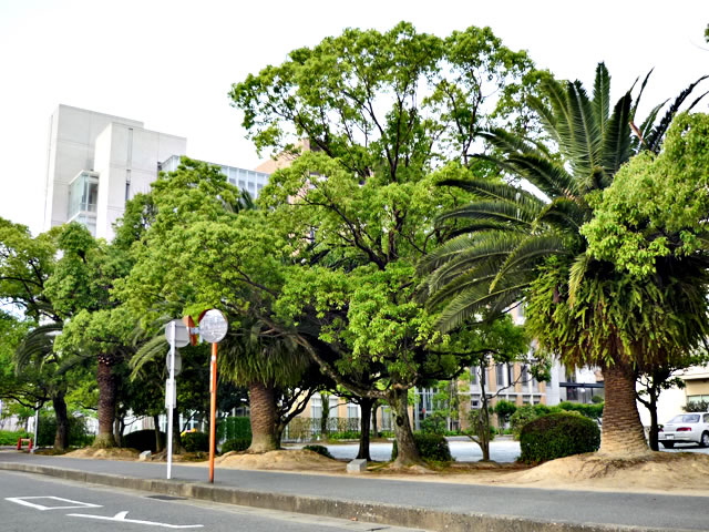 Other. Fukuoka University Hospital