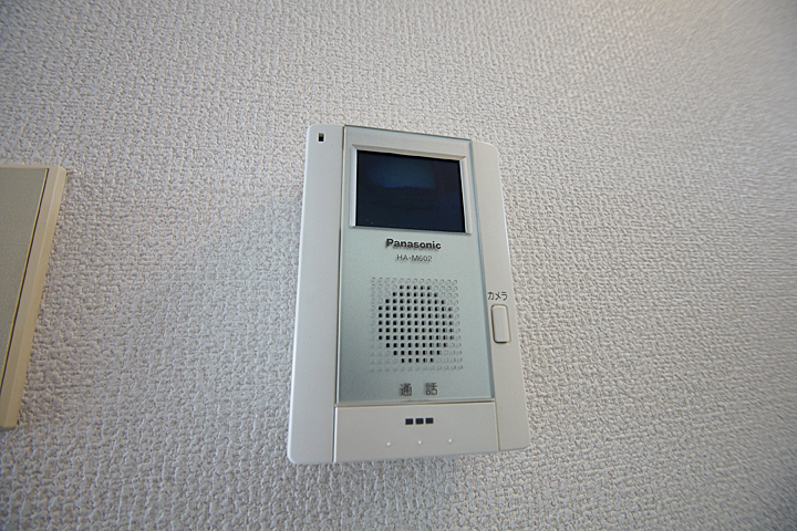 Security. Monitor with intercom