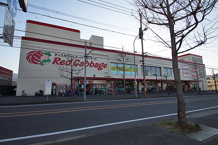 Shopping centre. Red cabbage ・ Daiso ・ Fashion Center Shimamura until the (shopping center) 500m