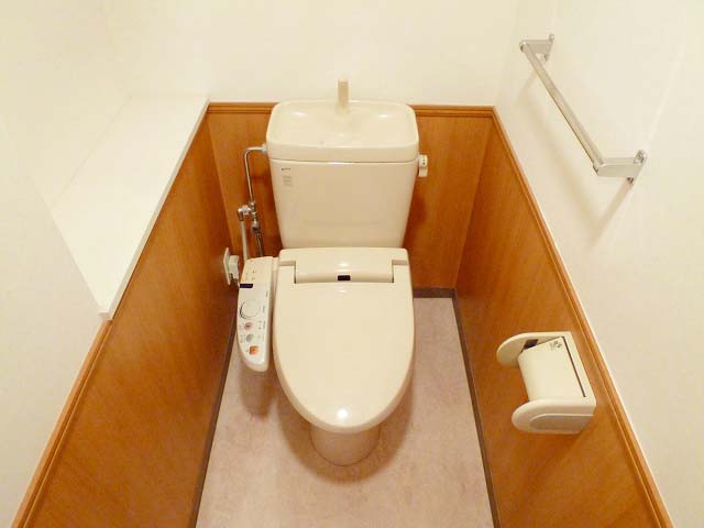 Toilet.  ☆ Bidet