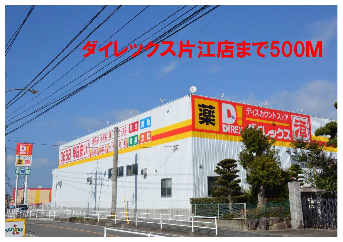 Supermarket. Dairekkusu Katae store up to (super) 500m