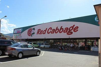 Supermarket. 320m to Red cabbage