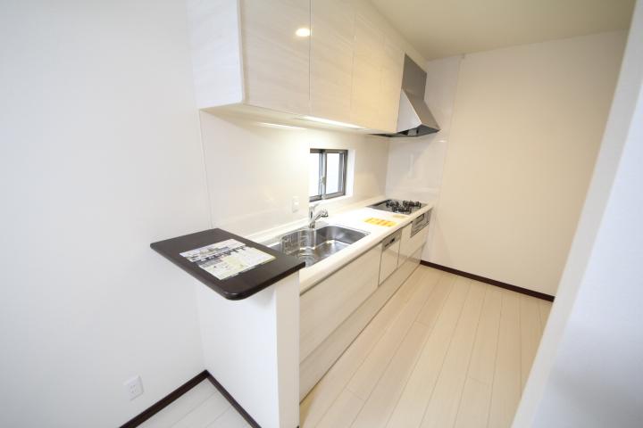 Kitchen. Local (12 May 2013) Shooting