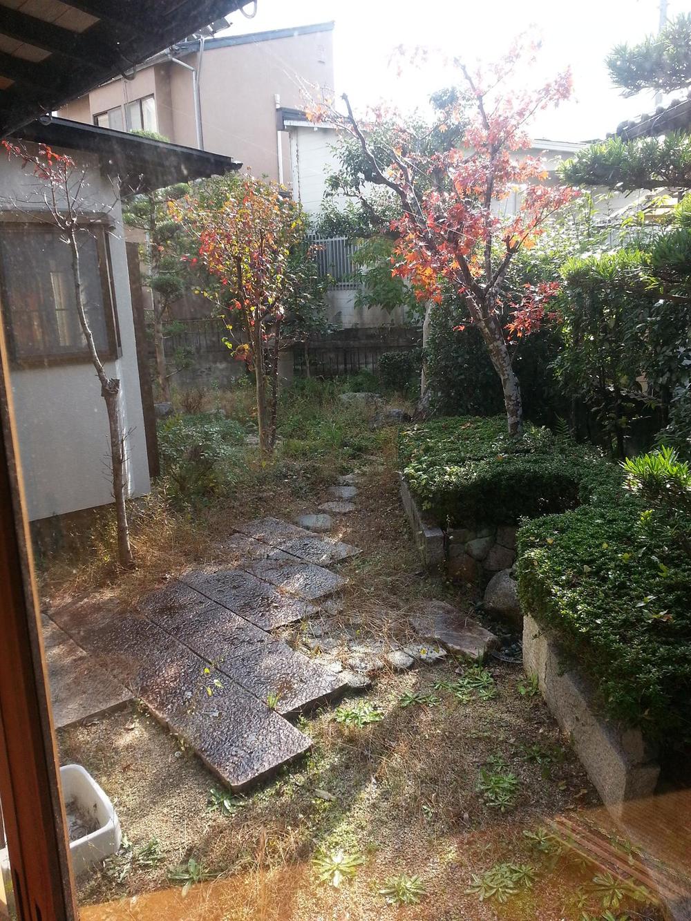 Garden. Local (11 May 2013) Shooting