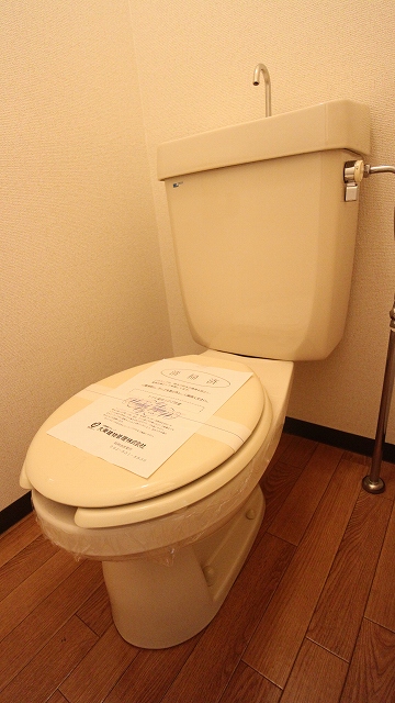 Toilet. Toilet