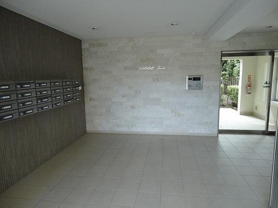 Entrance. Common areas