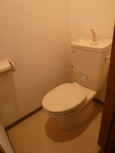 Toilet. It is a beautiful toilet. 