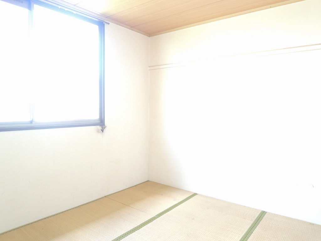 Other room space. Japanese style room