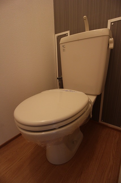 Toilet. Toilet