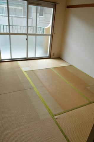 Non-living room. Japanese-style room facing the balcony