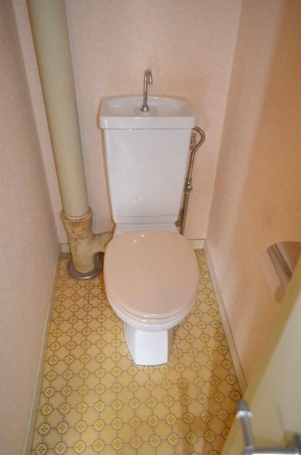 Toilet. State of the toilet