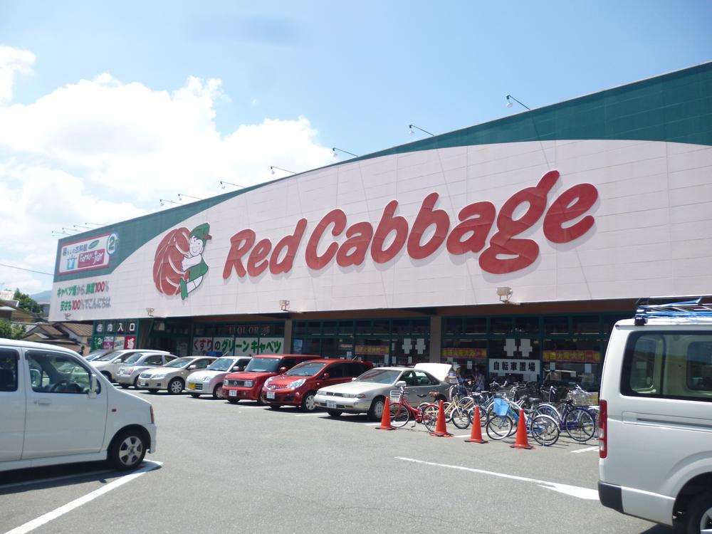 Supermarket. 320m to Red cabbage