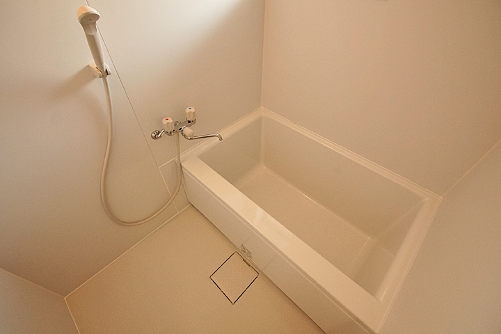 Bath. Bathroom (already renovated)