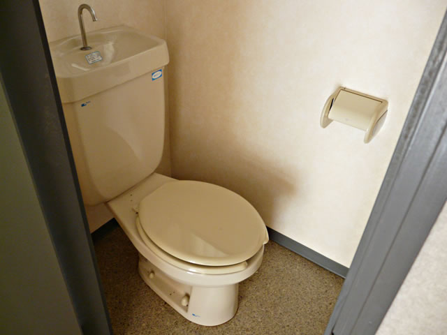 Toilet. Private toilet