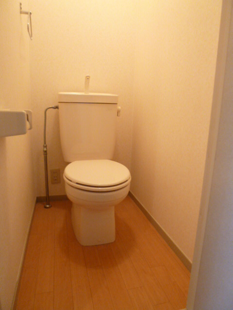 Toilet. Clean toilet ☆