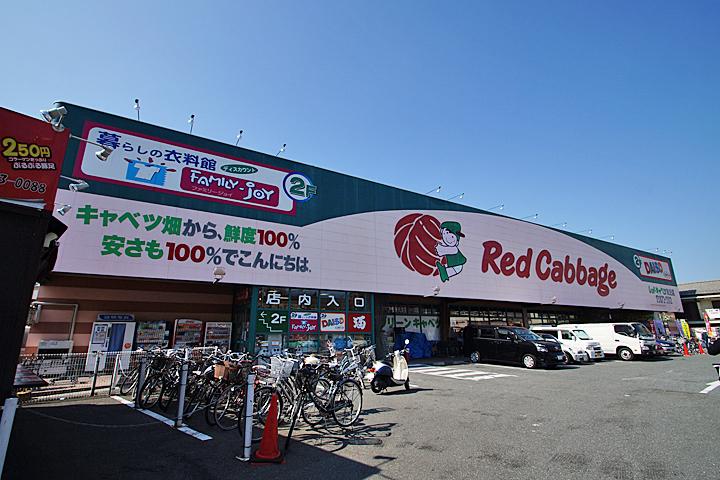 Supermarket. Red 550m until the cabbage (super)